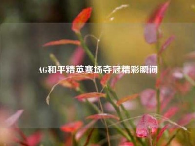 AG和平精英赛场夺冠精彩瞬间