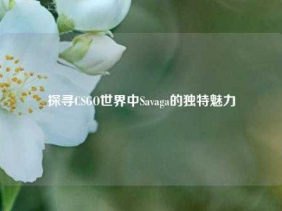 探寻CSGO世界中Savaga的独特魅力