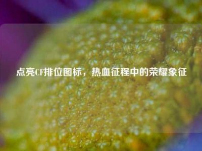 点亮CF排位图标，热血征程中的荣耀象征