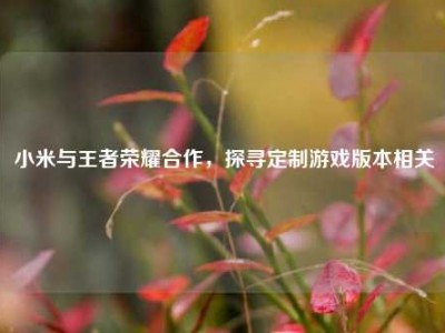 小米与王者荣耀合作，探寻定制游戏版本相关
