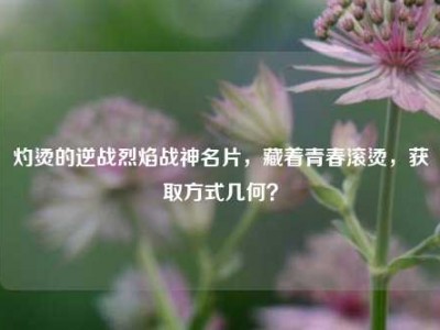 灼烫的逆战烈焰战神名片，藏着青春滚烫，获取方式几何？