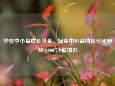 华安中小盘成长基金，掘金中小盘的投资利器及040007净值情况