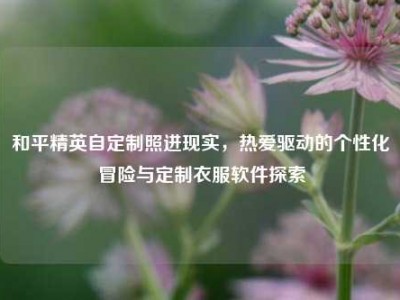 和平精英自定制照进现实，热爱驱动的个性化冒险与定制衣服软件探索