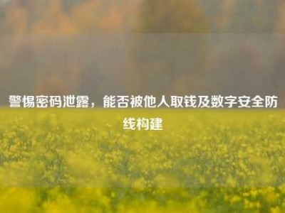 警惕密码泄露，能否被他人取钱及数字安全防线构建