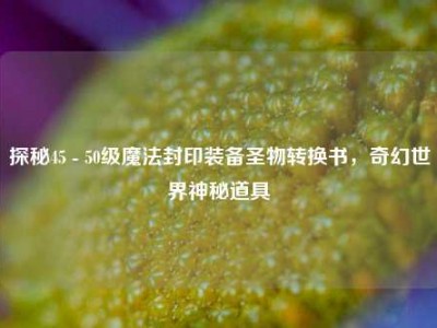 探秘45 - 50级魔法封印装备圣物转换书，奇幻世界神秘道具