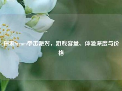 探索Steam拳击派对，游戏容量、体验深度与价格