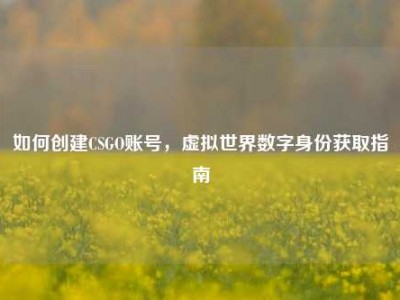 如何创建CSGO账号，虚拟世界数字身份获取指南