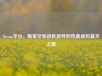 Steam平台，畅享空军战机游戏的热血虚拟蓝天之旅