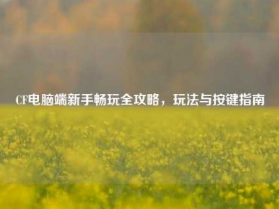 CF电脑端新手畅玩全攻略，玩法与按键指南