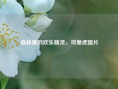 森林里的欢乐精灵，可爱虎图片