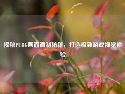 揭秘PUBG画面调制秘籍，打造极致游戏视觉体验