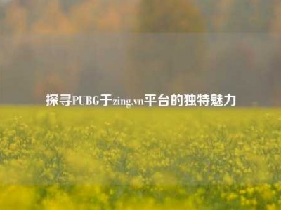 探寻PUBG于zing.vn平台的独特魅力