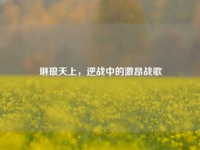 琳琅天上，逆战中的激昂战歌