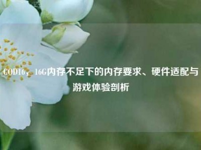 COD16，16G内存不足下的内存要求、硬件适配与游戏体验剖析