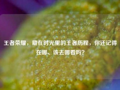 王者荣耀，藏在时光里的王者历程，你还记得在哪、该去哪看吗？