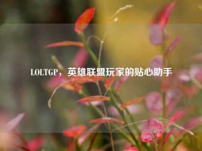 LOLTGP，英雄联盟玩家的贴心助手