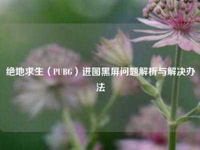 绝地求生（PUBG）进图黑屏问题解析与解决办法