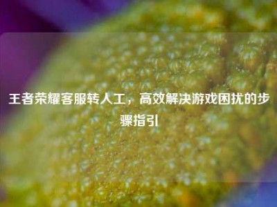 王者荣耀客服转人工，高效解决游戏困扰的步骤指引
