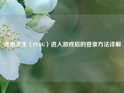 绝地求生（PUBG）进入游戏后的登录方法详解