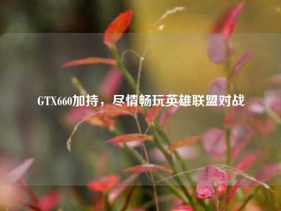 GTX660加持，尽情畅玩英雄联盟对战