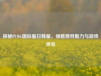 探秘PUBG国际服日韩服，领略独特魅力与游戏体验