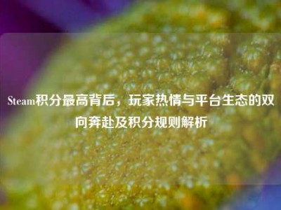 Steam积分最高背后，玩家热情与平台生态的双向奔赴及积分规则解析