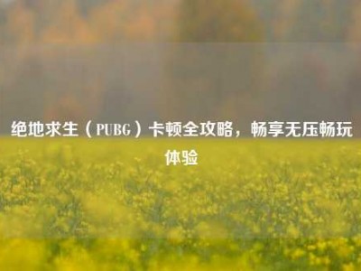 绝地求生（PUBG）卡顿全攻略，畅享无压畅玩体验