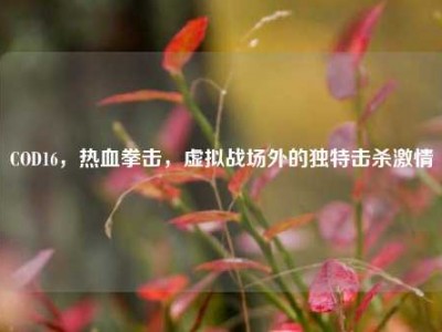 COD16，热血拳击，虚拟战场外的独特击杀激情