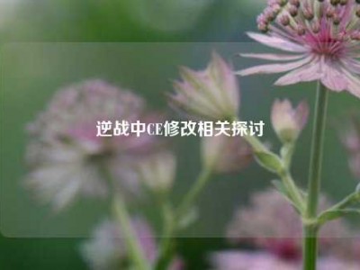 逆战中CE修改相关探讨