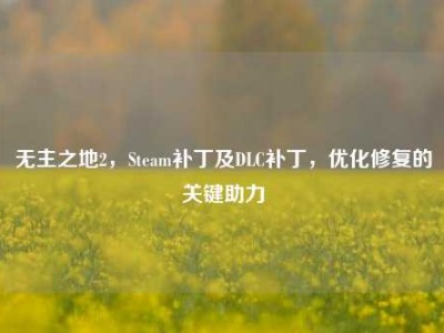 无主之地2，Steam补丁及DLC补丁，优化修复的关键助力
