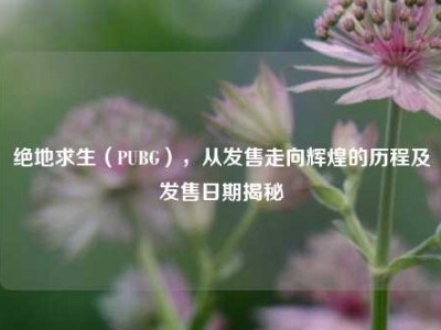 绝地求生（PUBG），从发售走向辉煌的历程及发售日期揭秘
