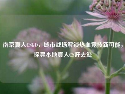 南京真人CSGO，城市战场解锁热血竞技新可能，探寻本地真人CS好去处