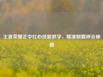 王者荣耀正中红心技能教学，精准制霸峡谷秘籍