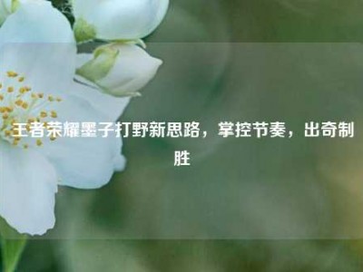 王者荣耀墨子打野新思路，掌控节奏，出奇制胜