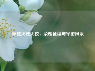 穿越火线大校，荣耀征程与军衔风采