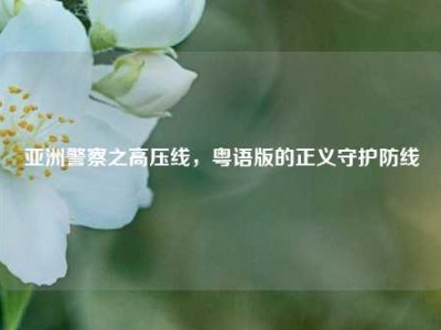亚洲警察之高压线，粤语版的正义守护防线