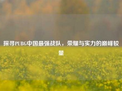 探寻PUBG中国最强战队，荣耀与实力的巅峰较量