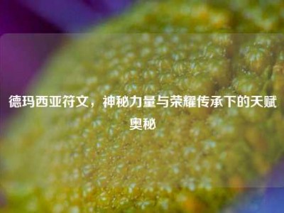 德玛西亚符文，神秘力量与荣耀传承下的天赋奥秘