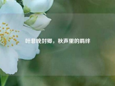 叶非晚封卿，秋声里的羁绊