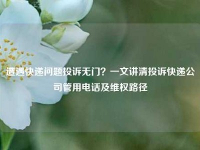 遭遇快递问题投诉无门？一文讲清投诉快递公司管用电话及维权路径