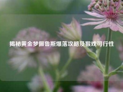 揭秘黄金梦佩鲁斯爆落攻略及猴戏可行性
