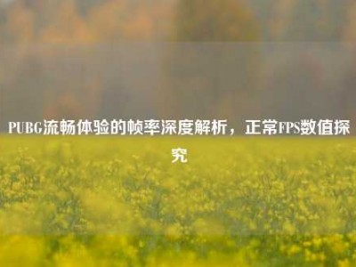 PUBG流畅体验的帧率深度解析，正常FPS数值探究