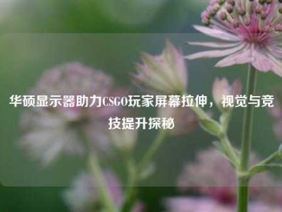 华硕显示器助力CSGO玩家屏幕拉伸，视觉与竞技提升探秘