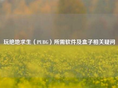 玩绝地求生（PUBG）所需软件及盒子相关疑问