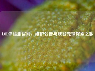 LOL体验服官网，维护公告与峡谷先锋探索之旅