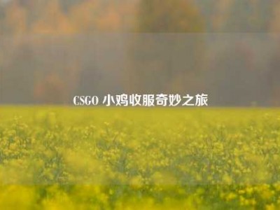 CSGO 小鸡收服奇妙之旅
