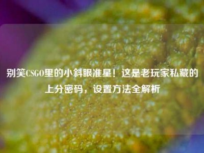 别笑CSGO里的小斜眼准星！这是老玩家私藏的上分密码，设置方法全解析