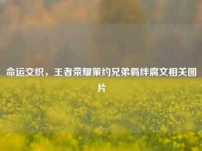 命运交织，王者荣耀策约兄弟羁绊腐文相关图片