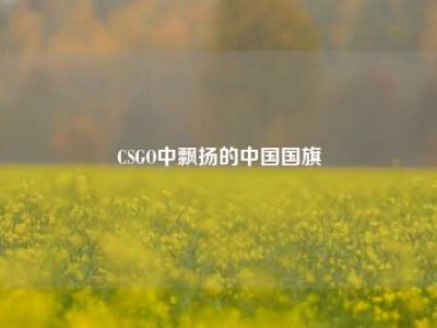 CSGO中飘扬的中国国旗