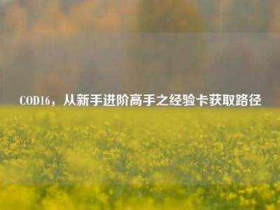 COD16，从新手进阶高手之经验卡获取路径